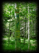 737 Graveside Totum Pole